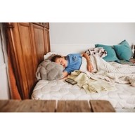 Pebble Allergen-Free Pillow