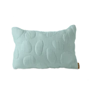 Allergen-Free Pillow SafetyCovers™